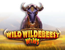 Wild Wildebeest Wins