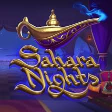 Sahara Nights