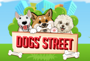 Dog's Street