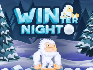 Winter Night